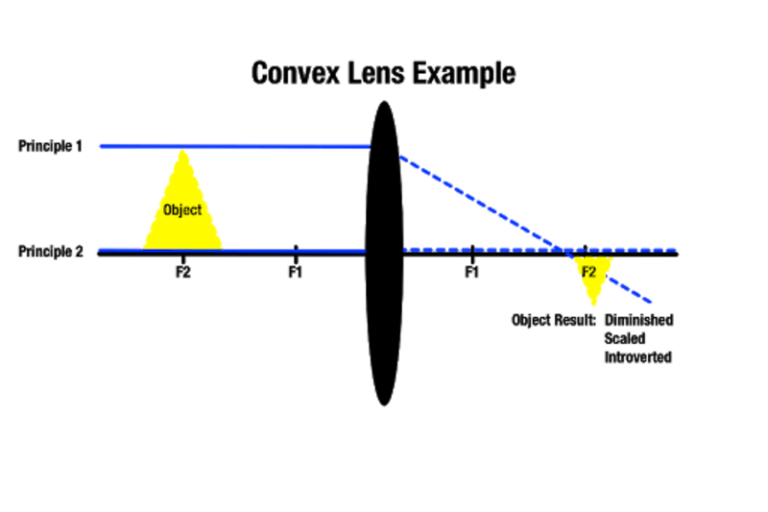 Concave vs. convex What’s the difference? The Word Counter