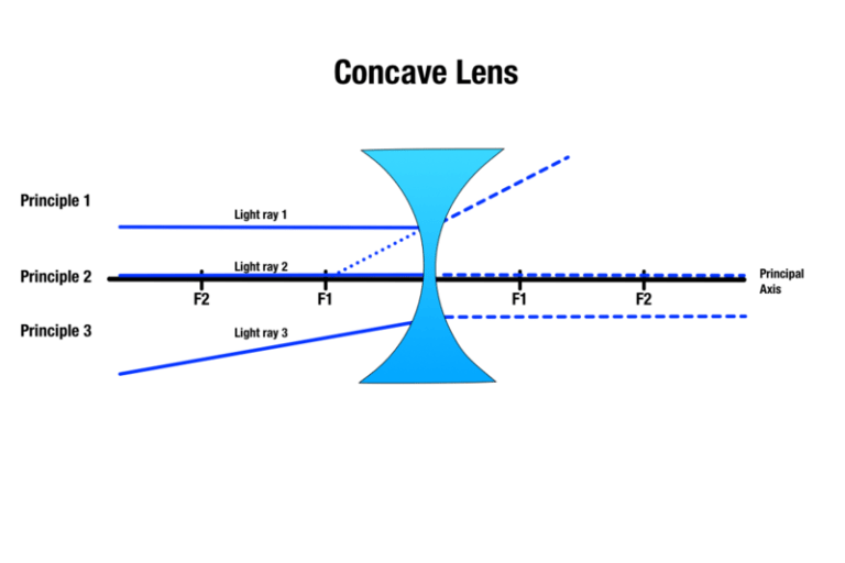 Concave vs. convex: What’s the difference? – The Word Counter