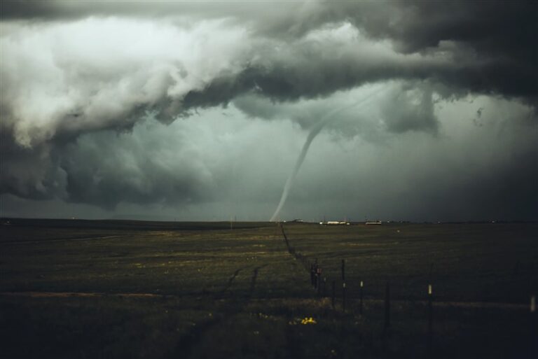 what-is-the-plural-of-tornado-the-word-counter