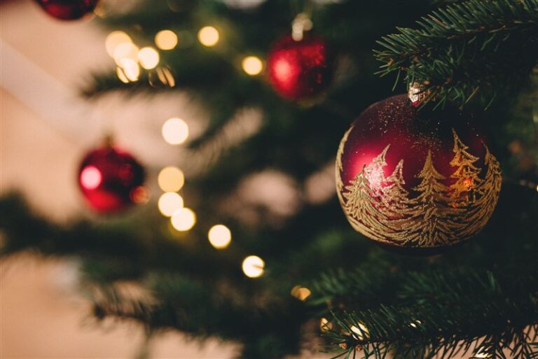 What Is The Plural Of Christmas The Word Counter