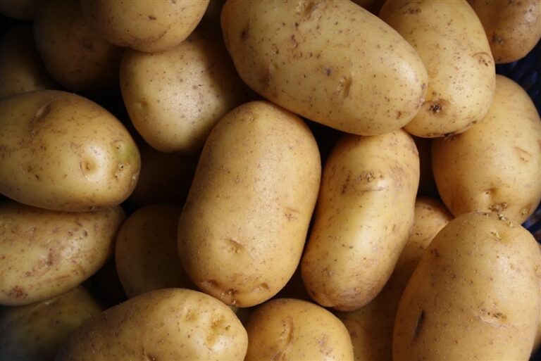 what-is-the-plural-of-potato-the-word-counter