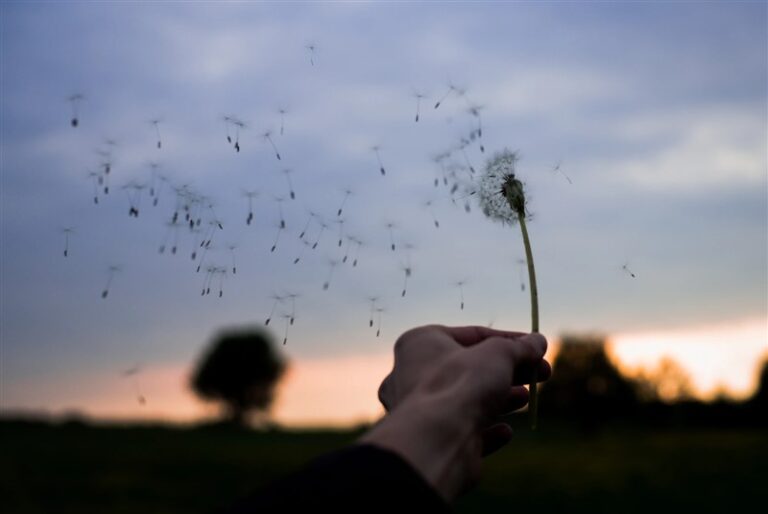 what-is-the-past-tense-of-wind-the-word-counter