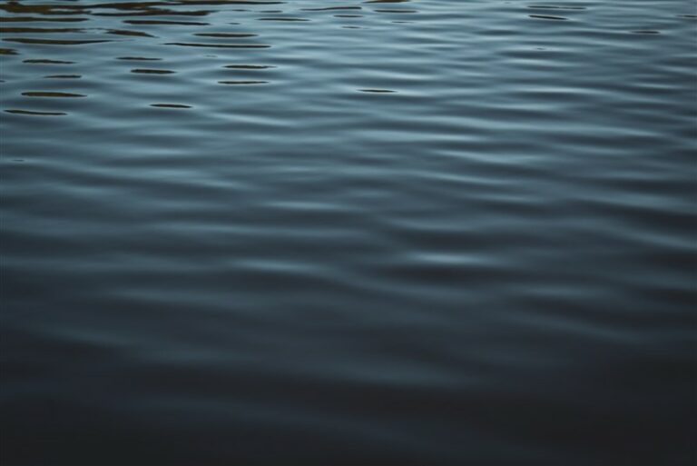 what does the saying still waters run deep mean