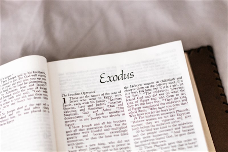 Exodus meaning