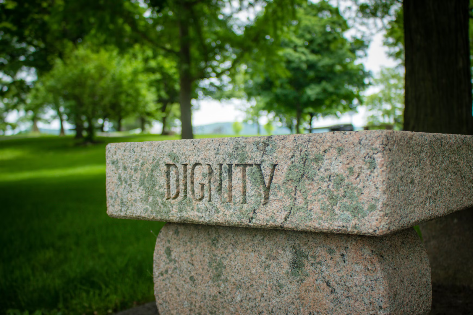 The Meaning of Dignity: What It Is and How To Use It