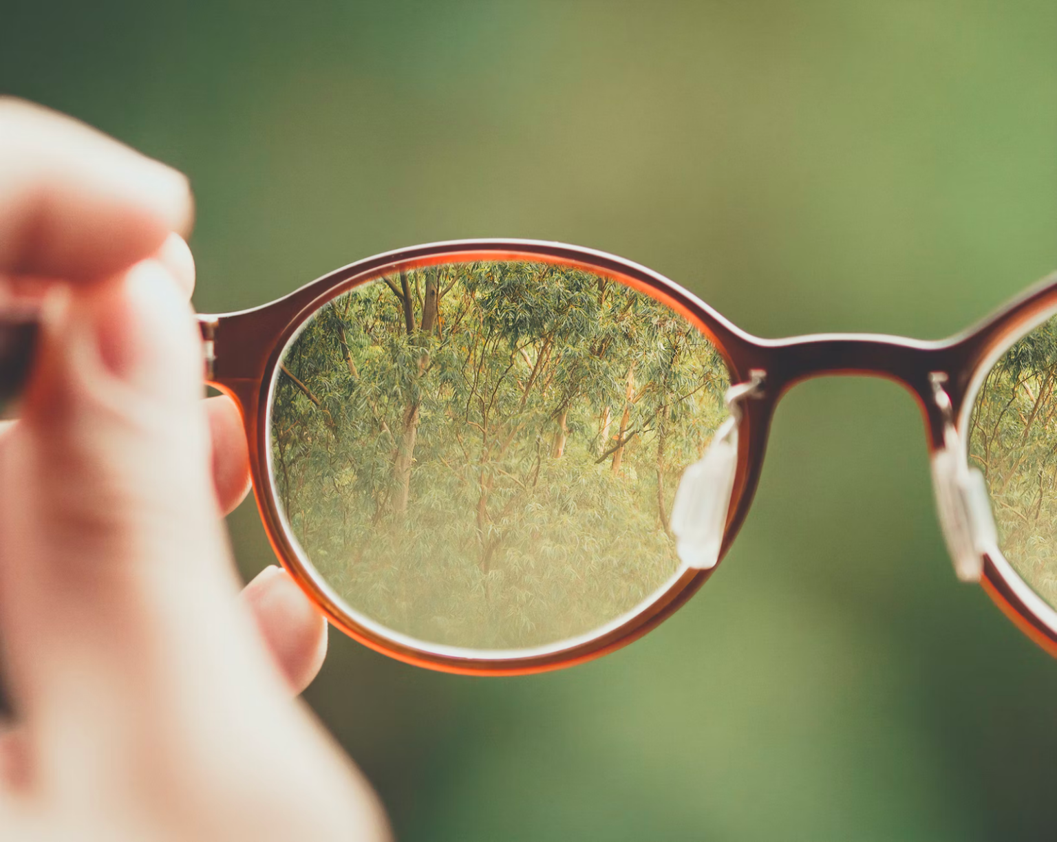 What Does Ostensibly Mean? | The Word Counter